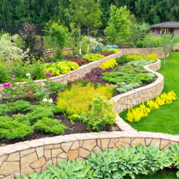 طراحی-فضای-باغ-با-گل-و-گیاه